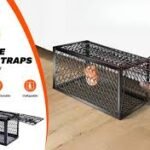 piège à souris en treillis métallique noir, conçu pour capturer les rongeurs vivants.