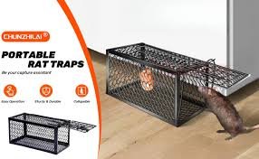 piège à souris en treillis métallique noir, conçu pour capturer les rongeurs vivants.